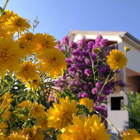 Πανσιόν Biskup Privlaka (Zadar)