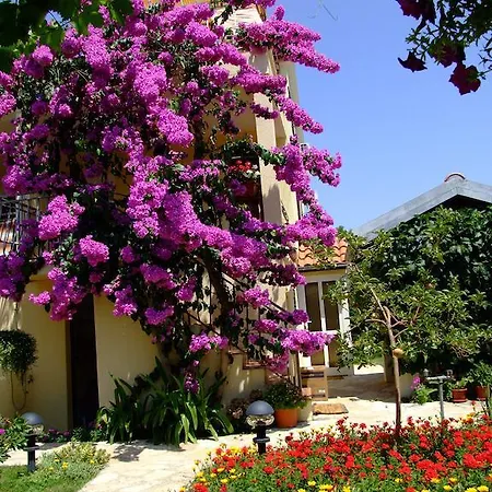 Biskup Privlaka (Zadar)