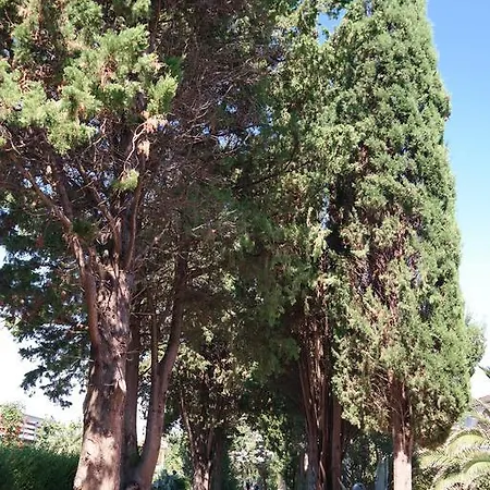 Pensión Biskup Privlaka (Zadar)