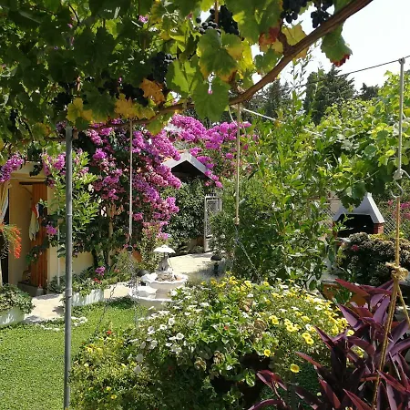 Guest house Biskup