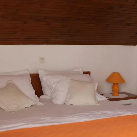 Guest house Biskup 3*