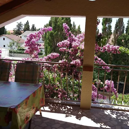 Guest house Biskup Privlaka (Zadar)