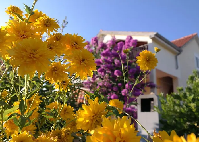 Gostinjska kuća Biskup Privlaka (Zadar)