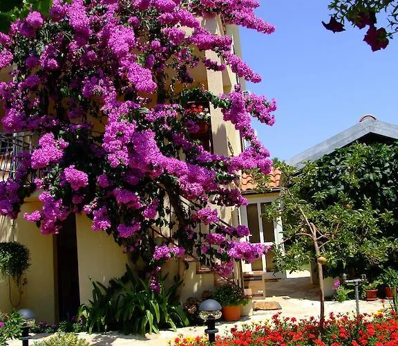 Biskup Privlaka (Zadar)