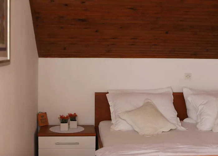 Biskup Privlaka (Zadar)