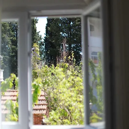 Guest house Biskup 3*