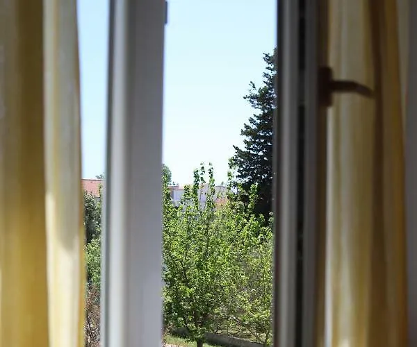 Biskup Привлака